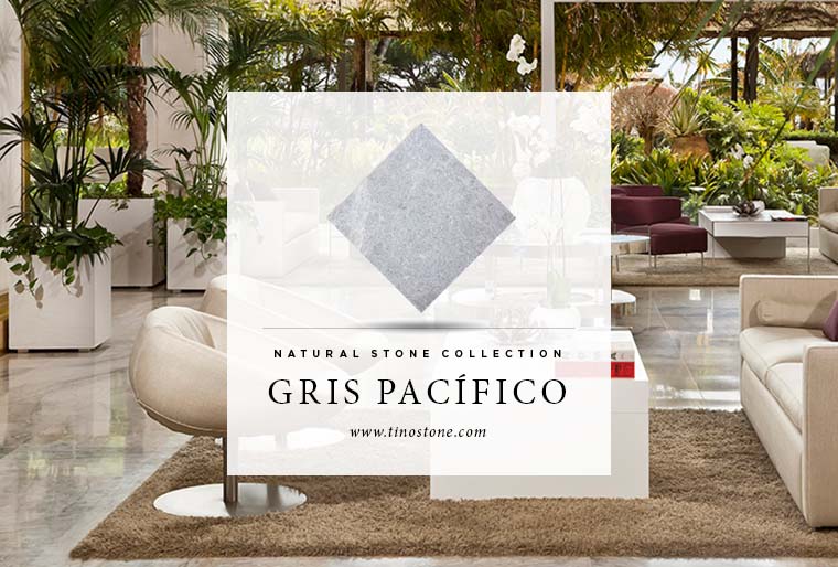 gris pacifico
