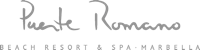 200_png_logo_puente_romano