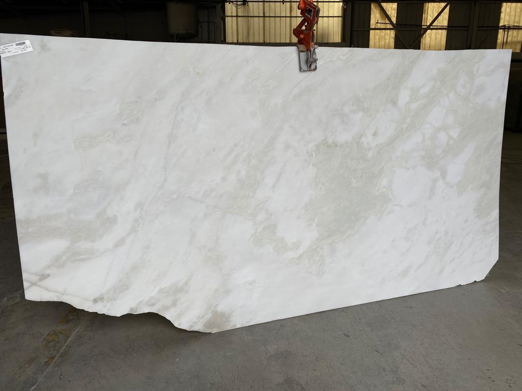 Mystery Rhino White