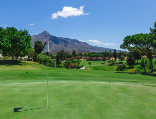 TINO patrocina el Torneo Benéfico de Golf de Horizonte Proyecto Hombre en el Club de Golf Aloha